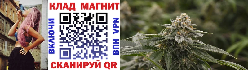 Где найти наркотики Жиздра Каннабис APVP Гашиш Меф COCAIN