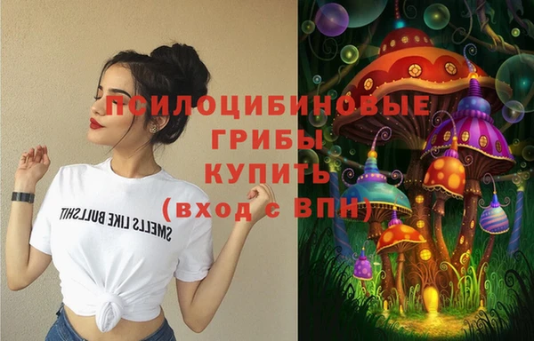 метамфетамин Гусев