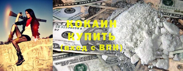 крисы Гусь-Хрустальный