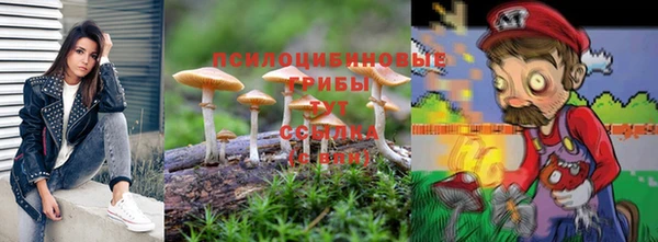 метамфетамин Гусев
