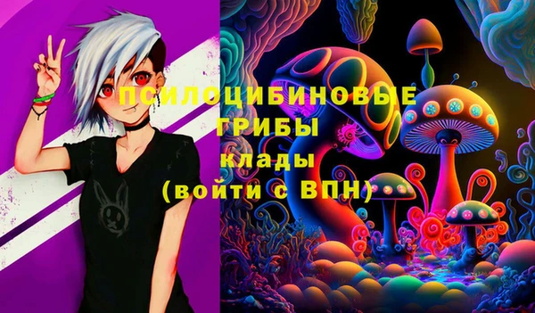 метамфетамин Гусев