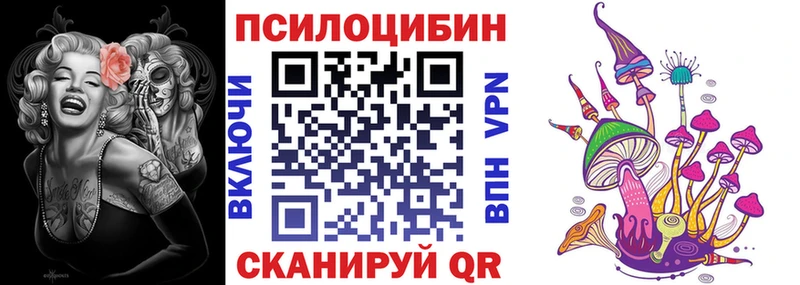 как найти наркотики  Жиздра  Псилоцибиновые грибы прущие грибы 