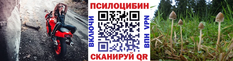 Псилоцибиновые грибы Cubensis Жиздра